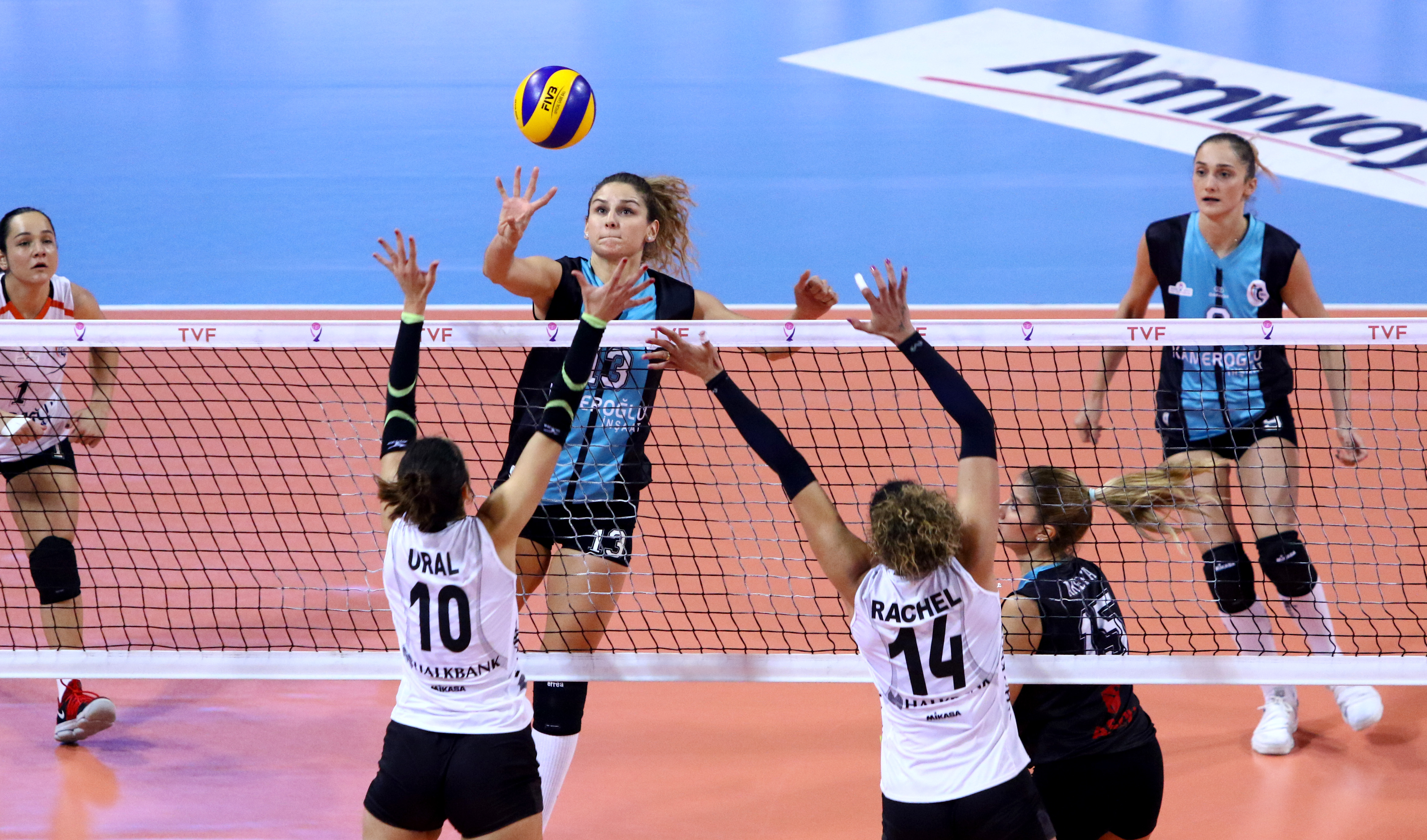 Türkiye Voleybol Federasyonu | TVF | tvf.org.tr | Türkiye Voleybol ...