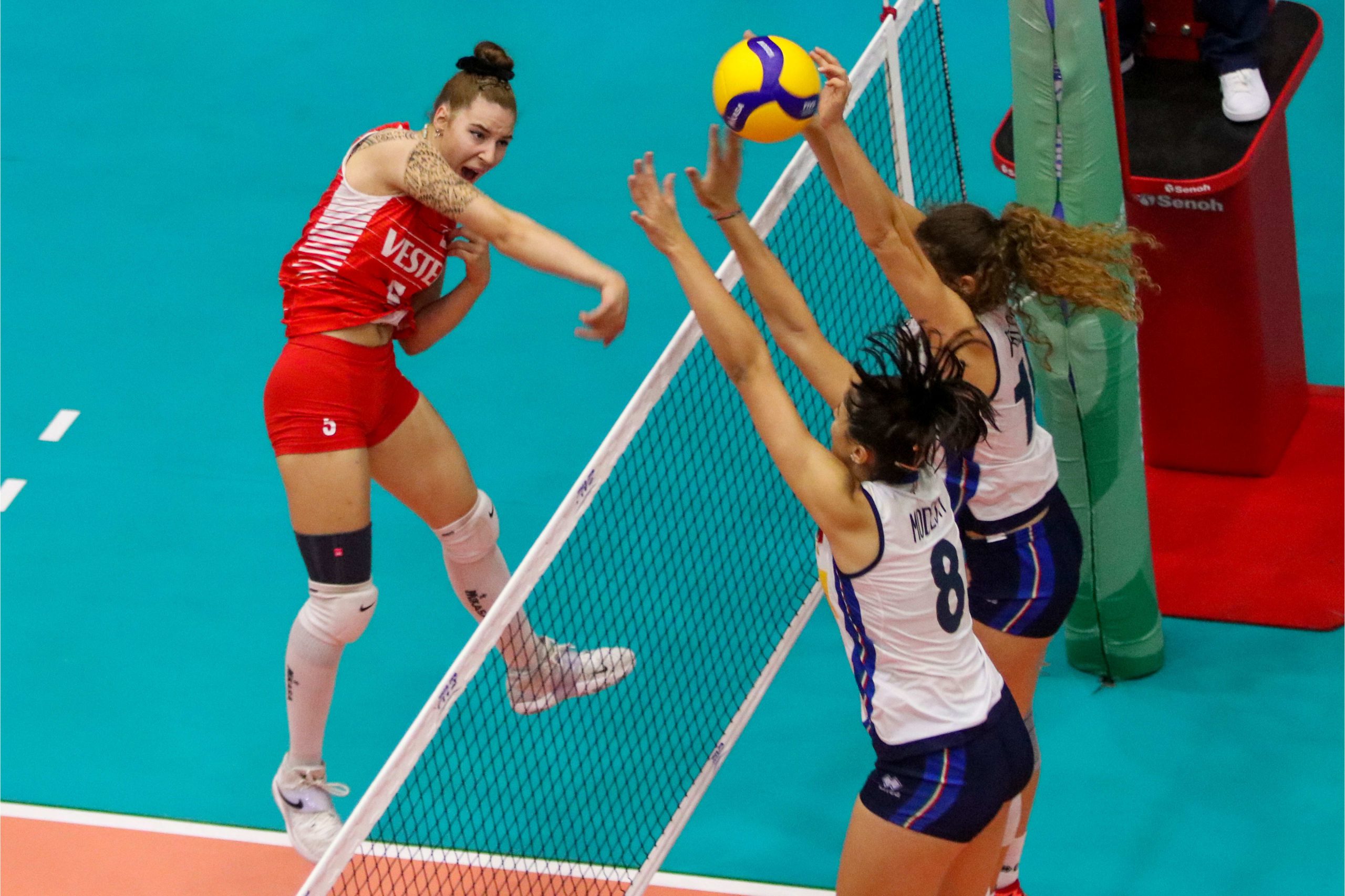 kadin milli takimlar turkiye voleybol federasyonu tvf